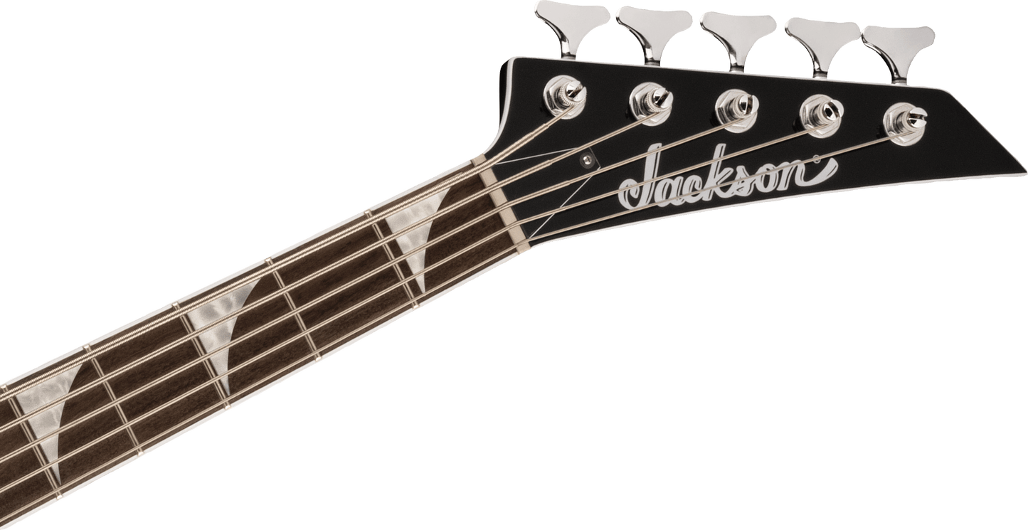 X Series Concert™ Bass CBXNT DX V