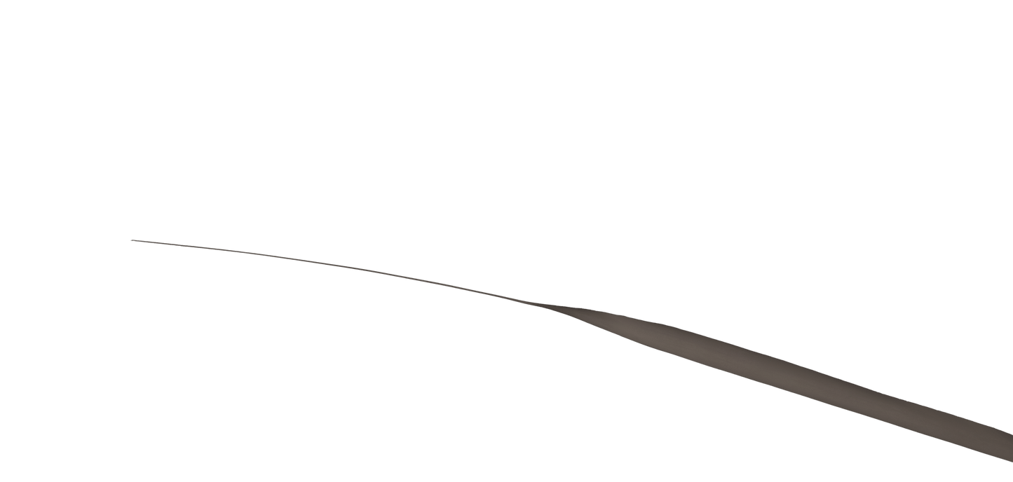 Pro Plus Limited Edition Pure Metal Concert Bass™ CB1A