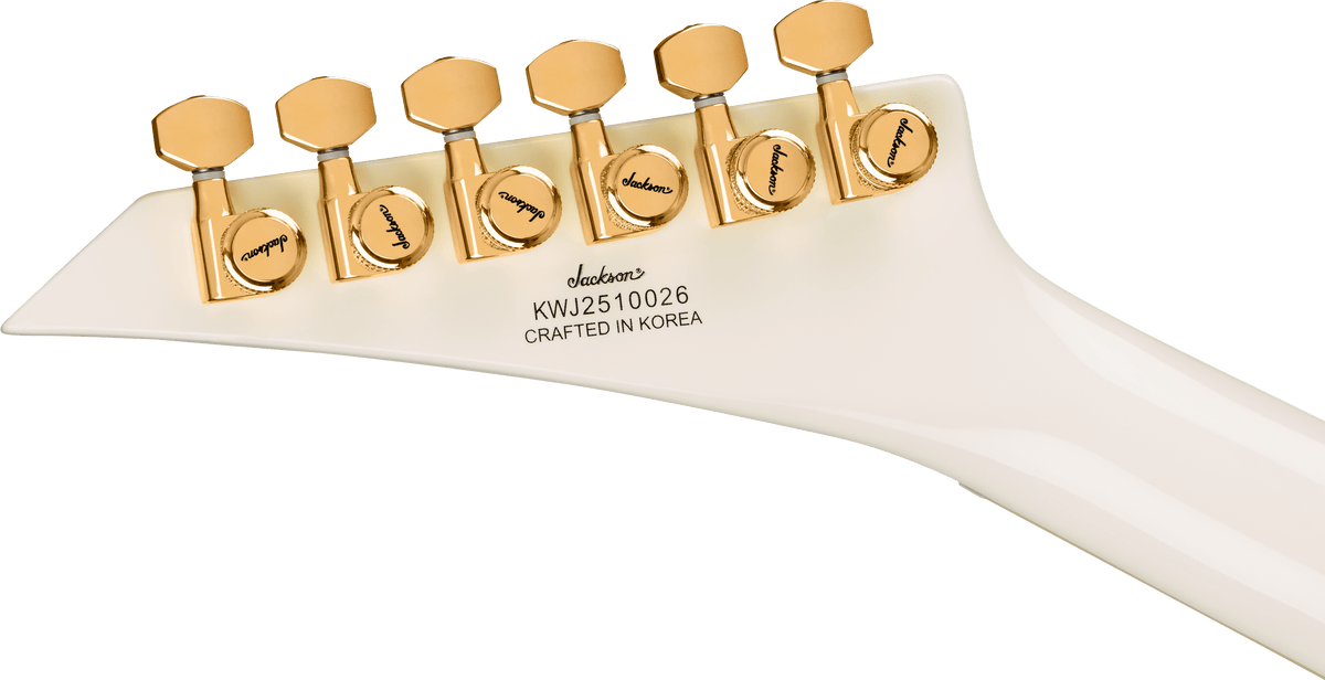 Legend Series Limited Edition Signature Randy Rhoads CD1
